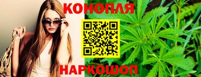 гашик Обь