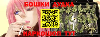 гидра Обнинск