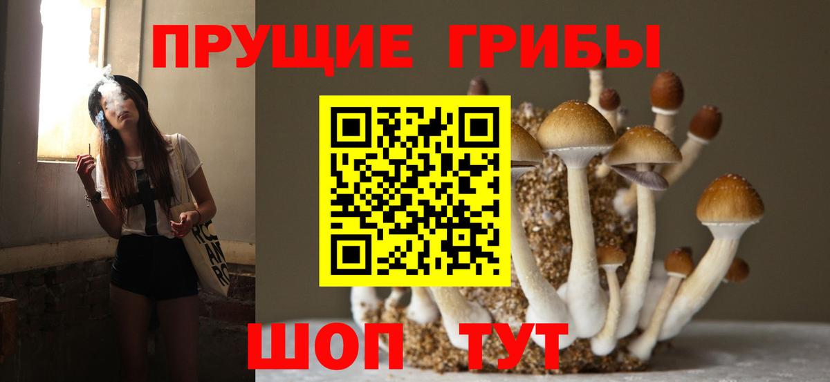 Псилоцибиновые грибы ЛСД  Вход с VPN  Рязань 